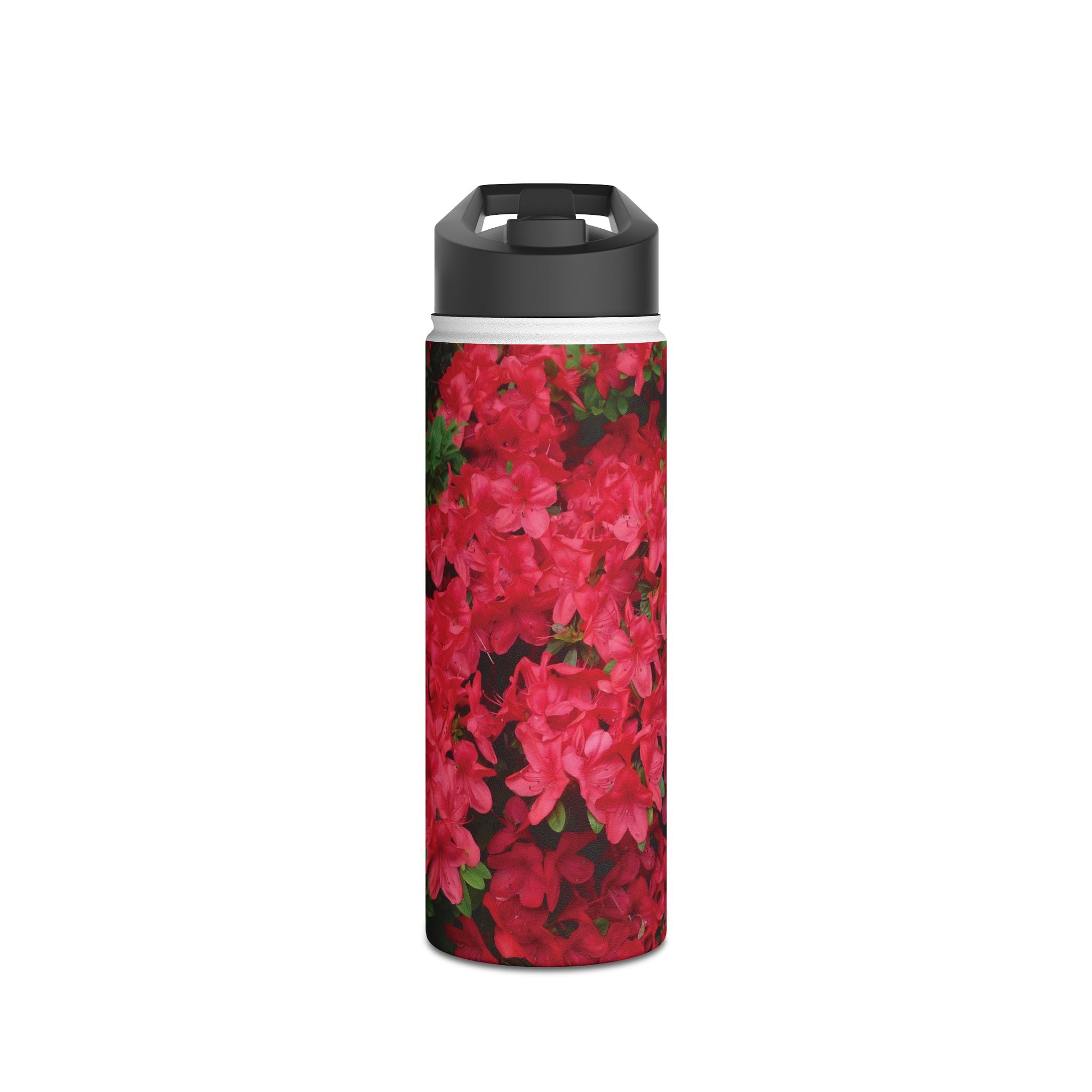 Pink Plain [Stainless Steel Water Bottle]