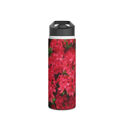 Pink Plain [Stainless Steel Water Bottle]