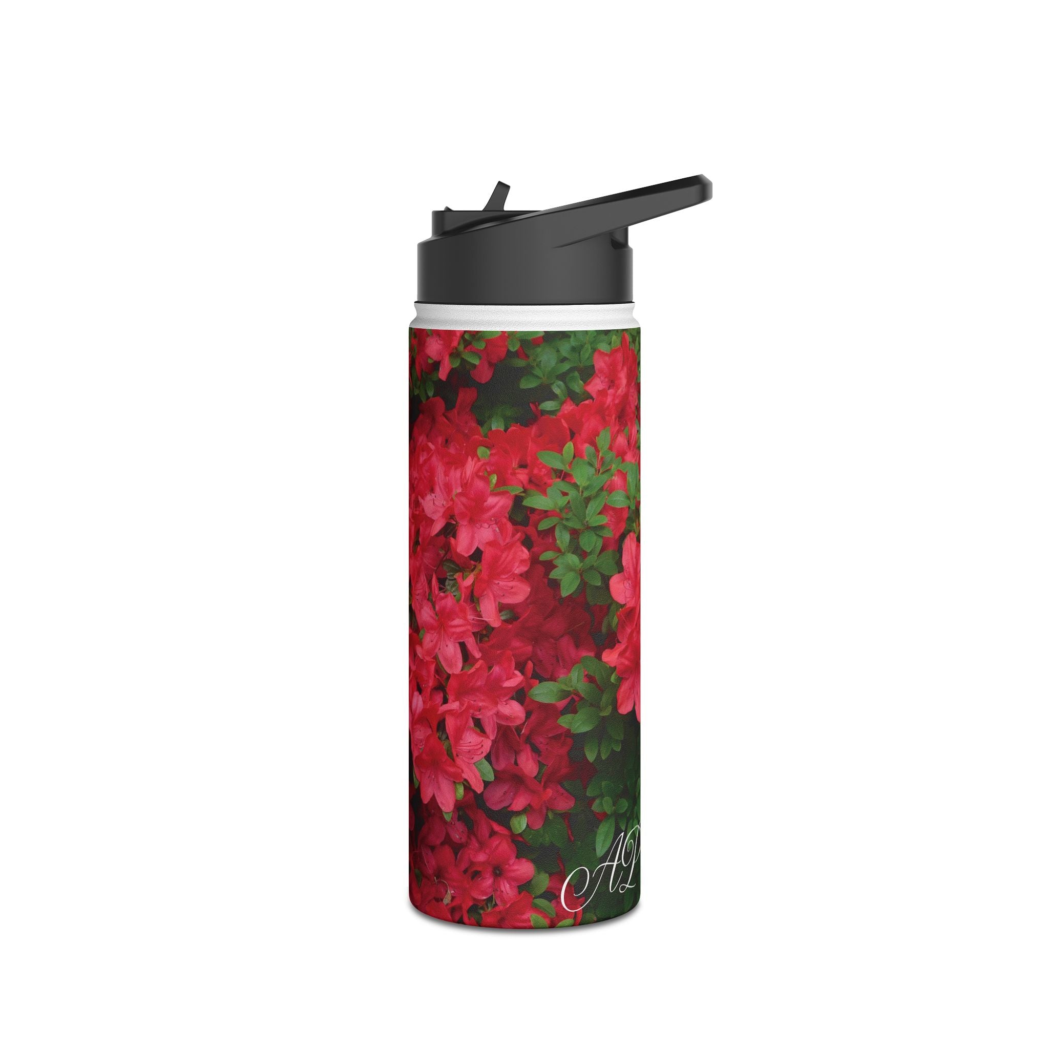 Pink Plain [Stainless Steel Water Bottle]