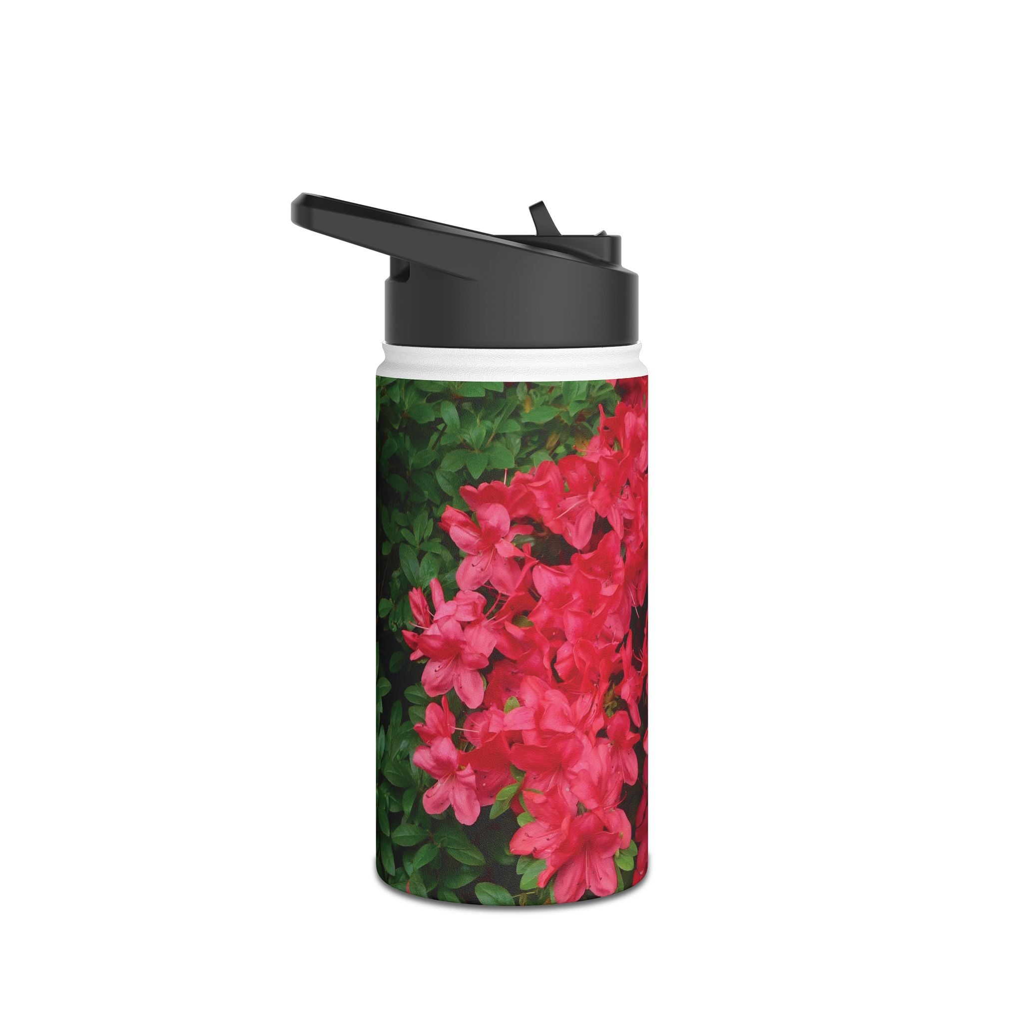 Pink Plain [Stainless Steel Water Bottle]